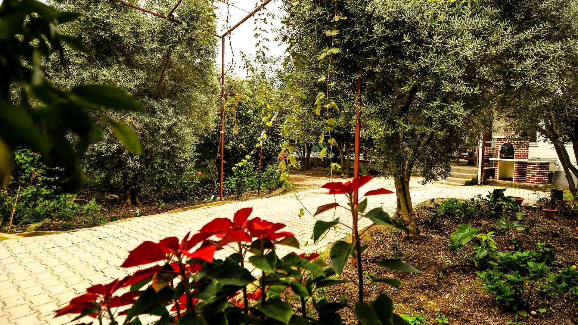 Avci Villa-Fethiye 3+1 In Garden With Private Pool, 10 Minutes To The Beach Villa