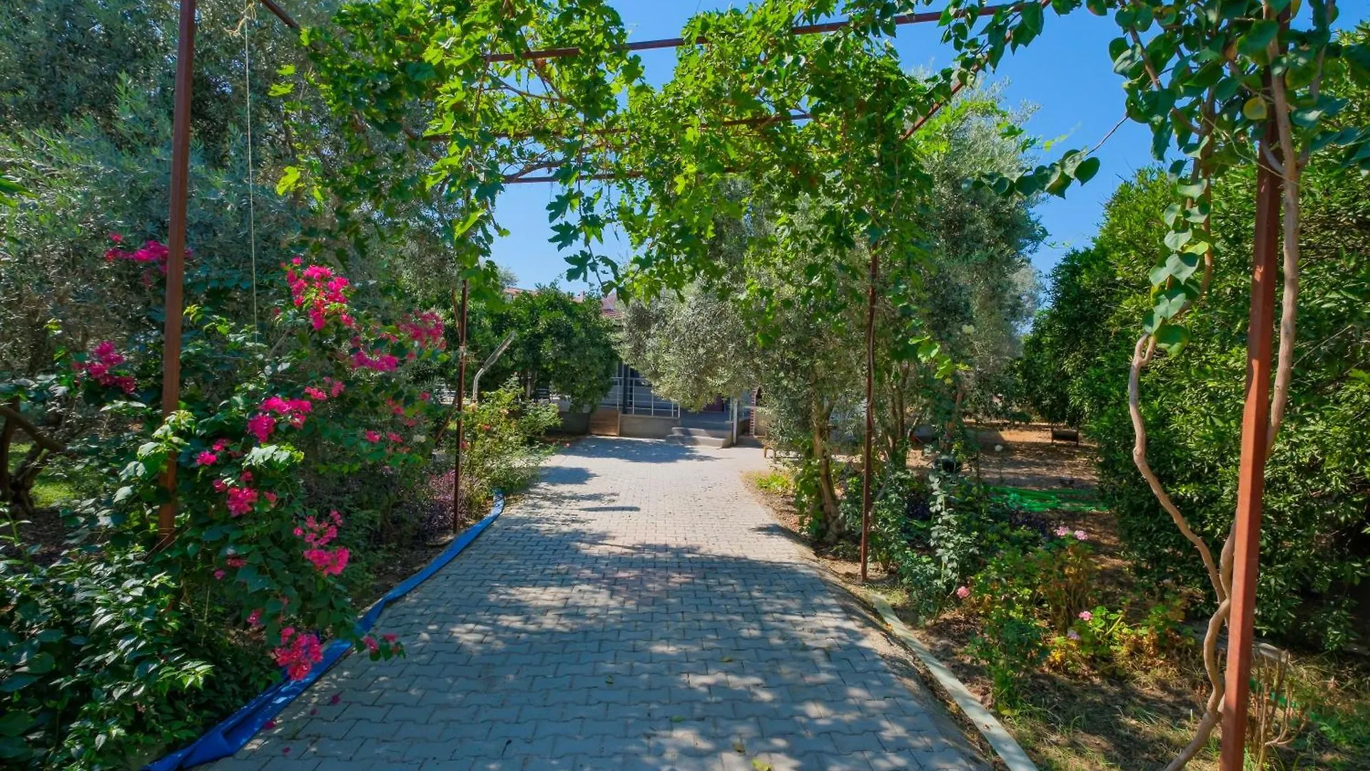 Avci Villa-Fethiye 3+1 In Garden With Private Pool, 10 Minutes To The Beach Villa Fethiye